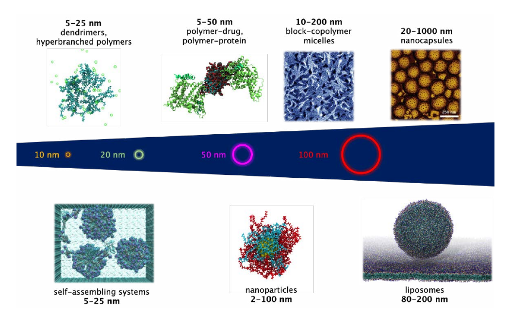 Nanostructure of potential interest for biomedical applications. Dimensions span from few nanometers to hundreds of nanometers with increasing structural complexity