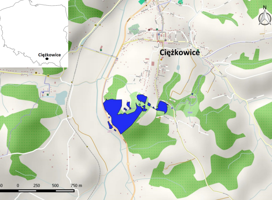 Położenie rezerwatu przyrody „Skamieniałe Miasto” w Ciężkowicach (obszar rezerwatu oznaczono kolorem niebieskim)