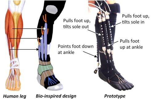 Foot rehabilitation robot