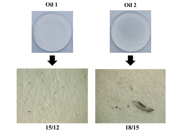 The appearance of the filters after filtrating oil samples from February