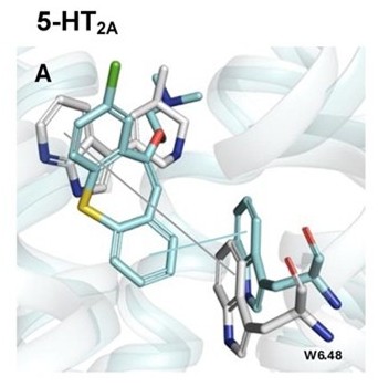 Figure 4: 5-HT2a